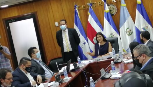 Comisión especial que investiga las ONG cita a Lorena Peña y Carmen Elena de Escalón